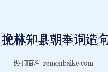 挽林知县朝奉词造句是什么意思的图片